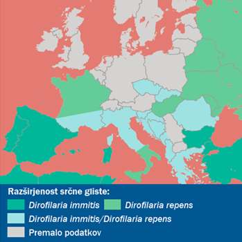 Razširjenost srčne gliste v Evropi