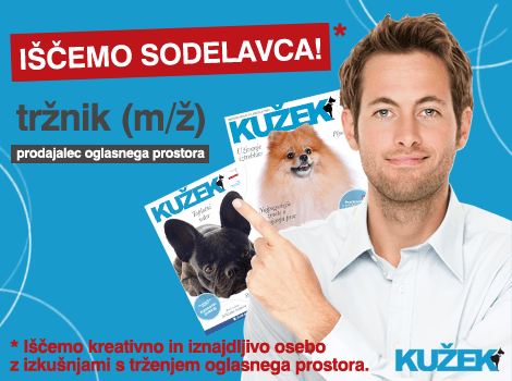 iscemo sodelavca grafika copy