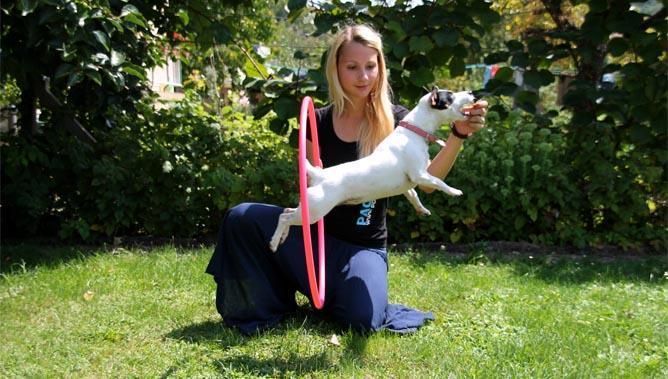 Pasji triki, 13. del