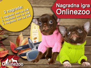 onlinezoo