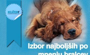 Izbiramo najboljše med najboljšimi!