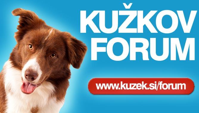 NOVO: Kužkov forum