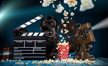 Najbolj znani filmski psi