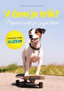 Knjiga V čem je trik?