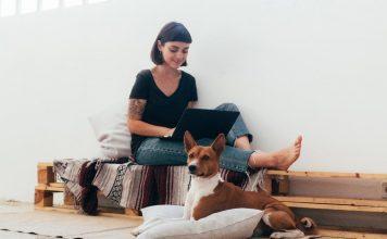 5 nepogrešljivih stvari, ki jih lahko sami izdelate za svojega psa