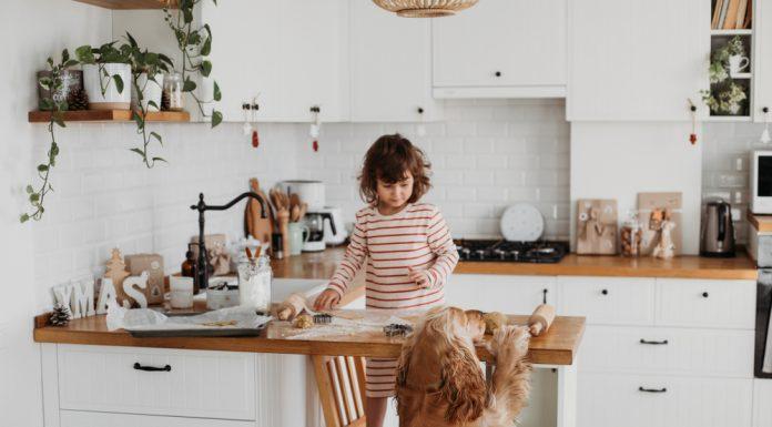 Kako postane kuhinja varna za psa?