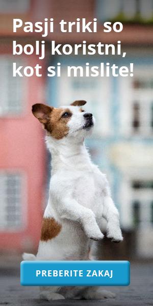 Pasji triki (300×600)