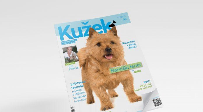 Izšla je nova številka revije Kužek!