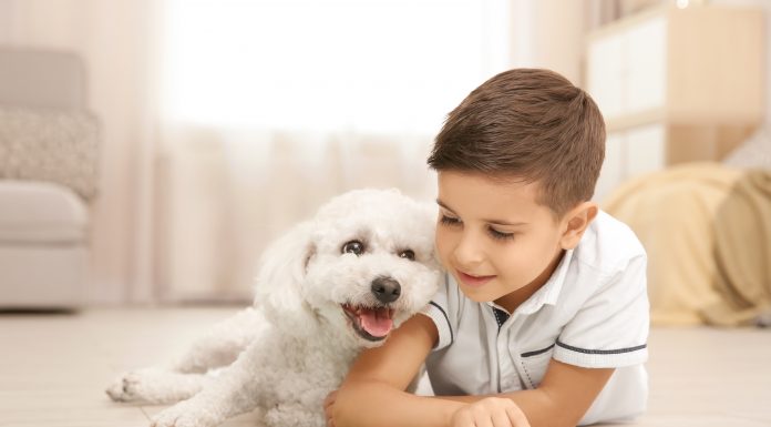 “Mami, ati, ali lahko dobim kužka?”