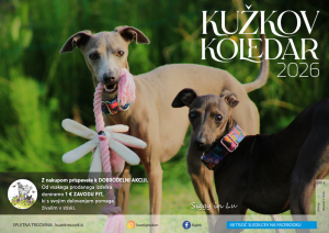 Naslovnica Kužkovega koledarja 2026