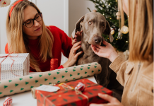 Praznične dobrote za pse, ki jih lahko pripravite doma