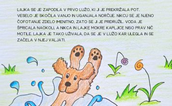 Nikec in Lajka-deževen dan