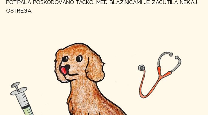 Nikec in Lajka- Lajka pri veterinarju