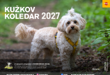 PREDNAROČILA ZA KUŽKOV KOLEDAR 2027 SO ODPRTA
