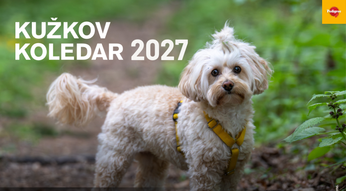 PREDNAROČILA ZA KUŽKOV KOLEDAR 2027 SO ODPRTA
