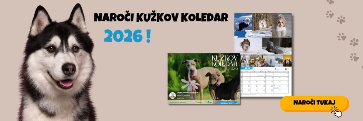 Iščete prostor za vaš oglas (1200 x 400 pik)